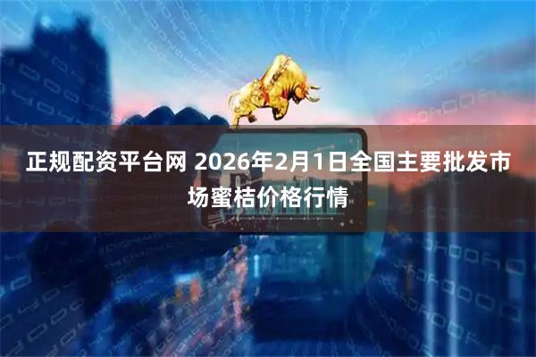 正规配资平台网 2026年2月1日全国主要批发市场蜜桔价格行情